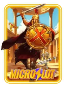 micro slot